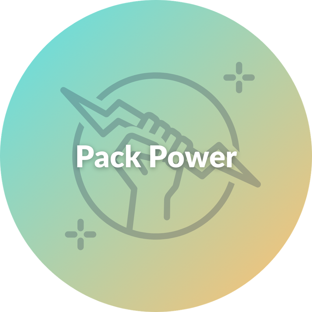 Pack Power